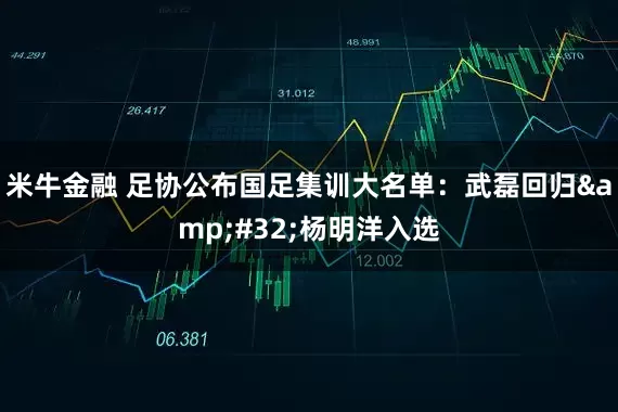米牛金融 足协公布国足集训大名单：武磊回归 杨明洋入选