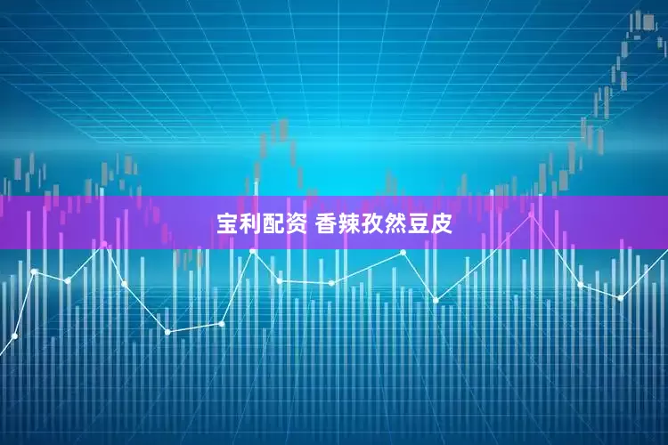 宝利配资 香辣孜然豆皮